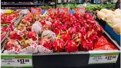 Xuất khẩu ngày 22-24/1: Tắc biên, thanh long Việt 