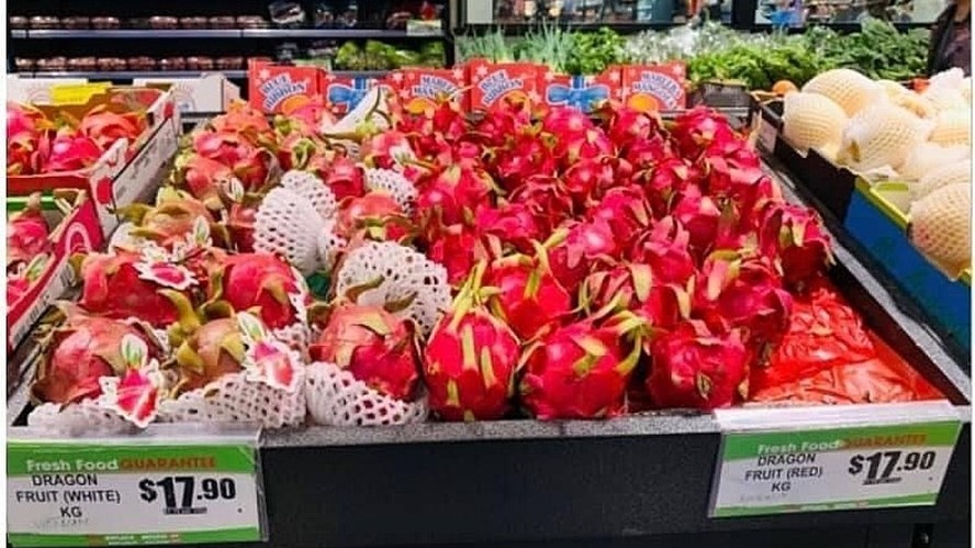 Xuất khẩu ngày 22-24/1: Tắc biên, thanh long Việt 'bay' sang Australia; nhập siêu bất ngờ quay trở lại