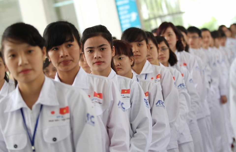 Cảnh báo lừa đảo người lao động đi Nhật làm việc bằng visa tị nạn