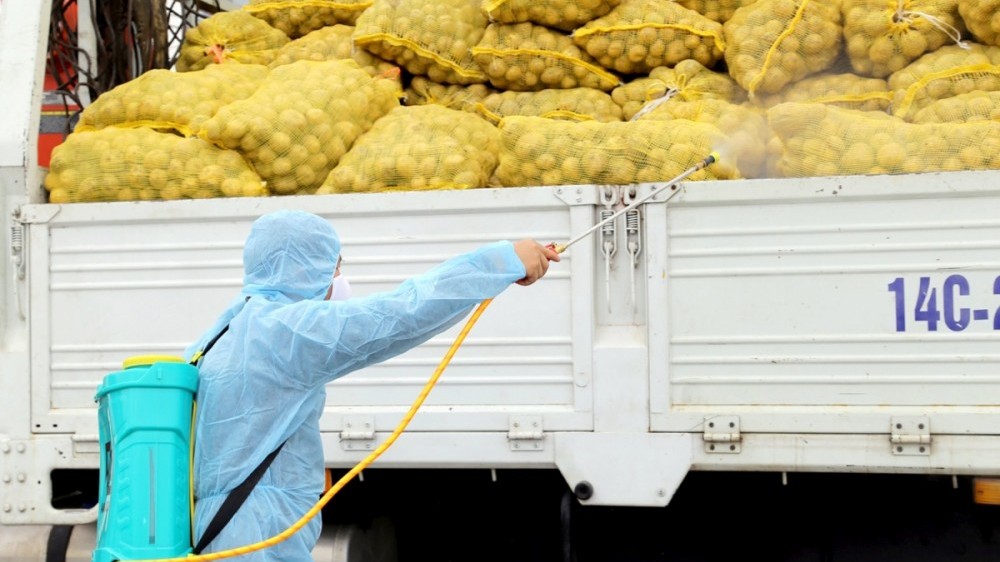 Quảng Ninh hỗ trợ tiêu thụ nông sản cho người dân vùng bị phong tỏa