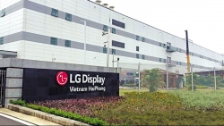 Đón tin mừng từ các dự án tỷ USD