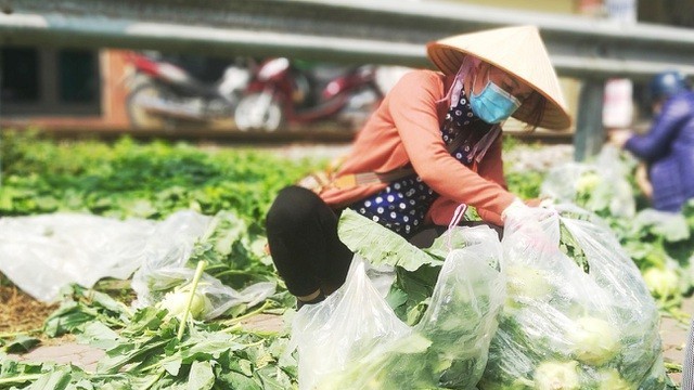 Bộ Công Thương thông tin về những điểm 'chưa phù hợp' khiến nông sản Hải Dương bị ách tắc