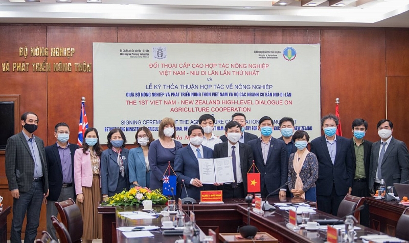 Chanh và bưởi Việt Nam sẽ sớm có mặt tại thị trường New Zealand Chanh và bưởi Việt Nam sẽ sớm có mặt tại thị trường New Zealand