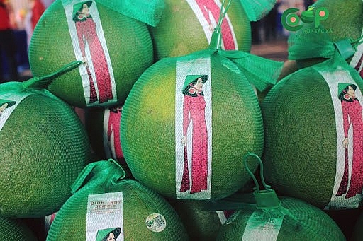 Chanh và bưởi Việt Nam sẽ sớm có mặt tại thị trường New Zealand Chanh và bưởi Việt Nam sẽ sớm có mặt tại thị trường New Zealand