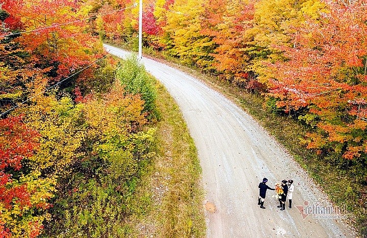 Du lịch Canada, ghé thăm thủ phủ tôm hùm thế giới