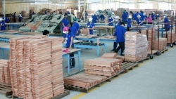 Phòng vệ thương mại sẽ là giải pháp then chốt để bảo vệ doanh nghiệp năm 2022