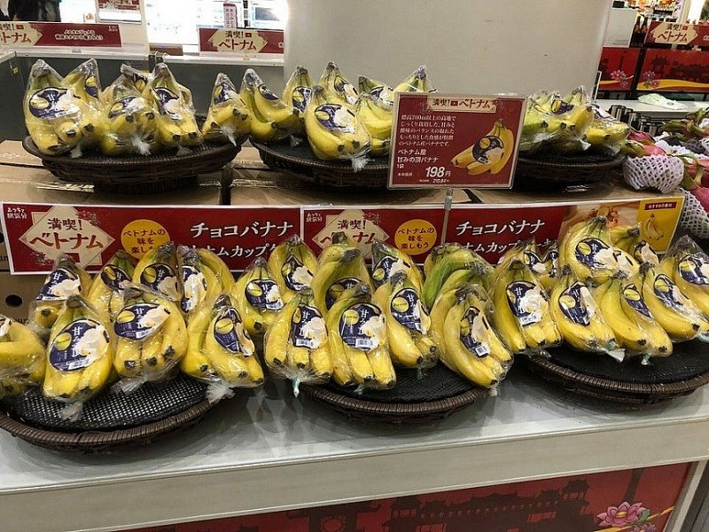 Hoa quả Việt Nam ngày càng phổ biến tại thị trường Nhật Bản