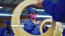 Vốn ngoại trợ lực cho doanh nghiệp vừa và nhỏ bứt phá