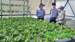 Đak Nông đẩy mạnh hỗ trợ hệ sinh thái khởi nghiệp đổi mới sáng tạo