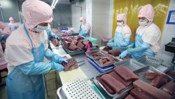 Chớp cơ hội xuất hàng sang Anh nhờ UKVFTA