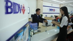 Tài chính toàn diện dành cho doanh nghiệp do phụ nữ làm chủ