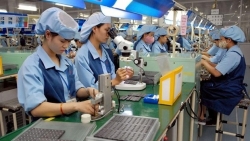 Tập trung phát triển doanh nghiệp đầu chuỗi để vực dậy doanh nghiệp trong nước