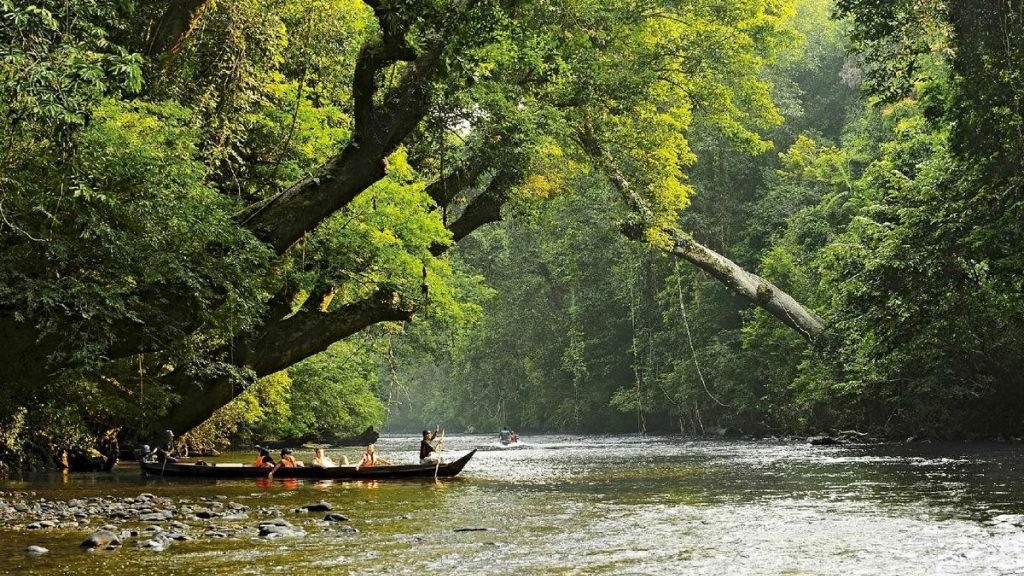 ADB hỗ trợ 15 triệu USD phát triển lâm nghiệp bền vững ở Đông Nam Á