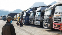 Xuất khẩu ngày 7-11/3: Tìm 