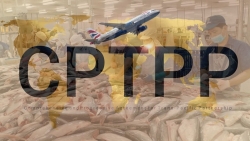 Xuất khẩu ngày 19-21/3: Triển vọng tích cực từ thị trường CPTPP; cà phê 