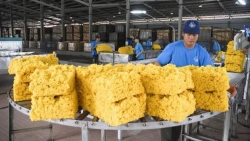 Việt Nam là một trong những nhà cung cấp cao su hàng đầu của Hàn Quốc