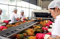 tao thuan loi cho rau qua viet nam vao thi truong chau au