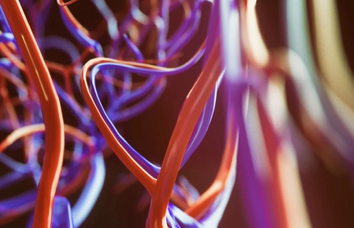 phat hien moi te bao mien dich o nguoi khoe manh co kha nang tim diet virus sars cov 2