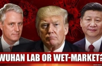 dong nguoi di tan tranh covid 19 lam qua tai cac vung que my