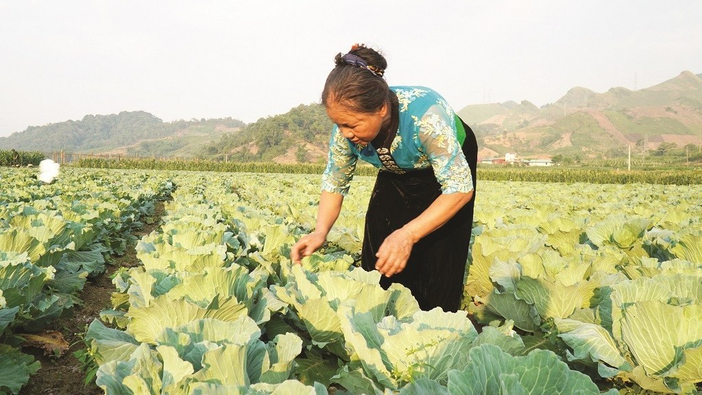 Vùng trung du và miền núi Bắc Bộ: Hướng tới tầm nhìn phát triển bền vững