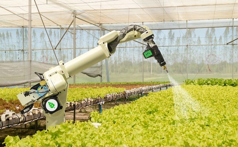 Nông nghiệp Ukraine 'ngấm đòn' khủng hoảng Nông nghiệp Ukraine 'ngấm đòn' khủng hoảng