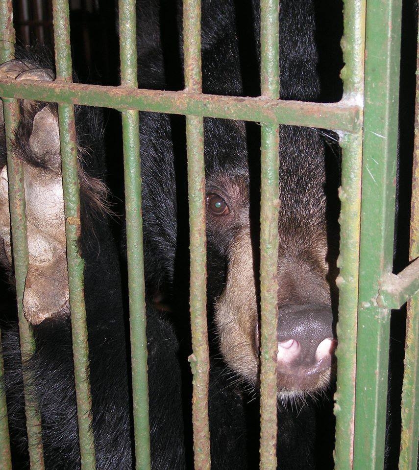 da dang sinh hoc o viet nam dang bi de doa