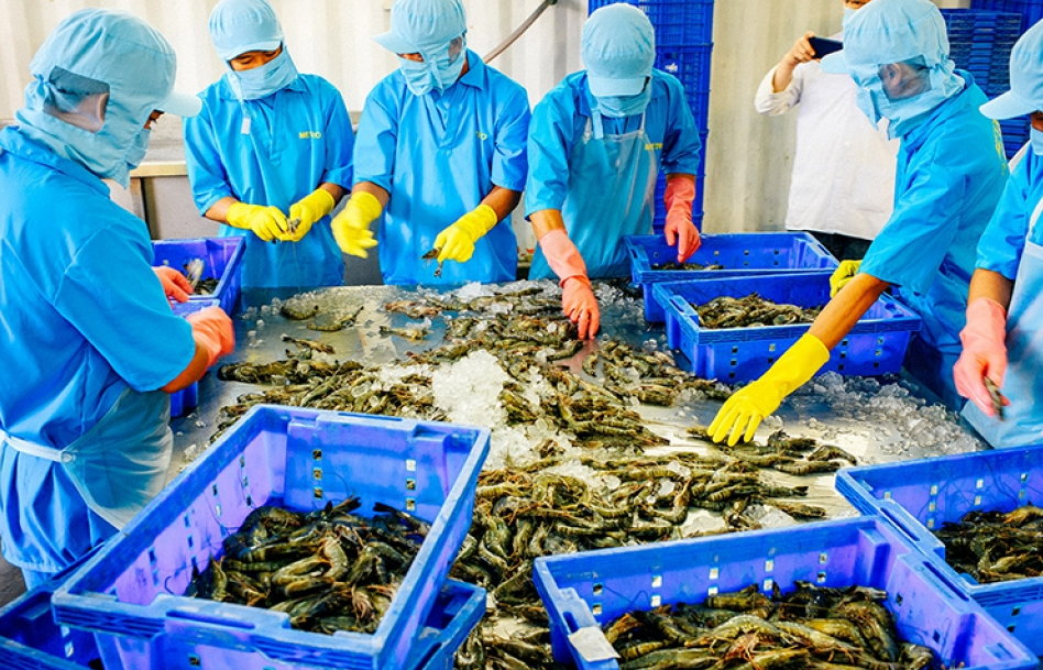 Luồng gió mới thúc đẩy giao thương giữa Việt Nam và Nhật Bản