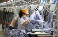 nganh det may vuot vu mon covid 19 la thang lon