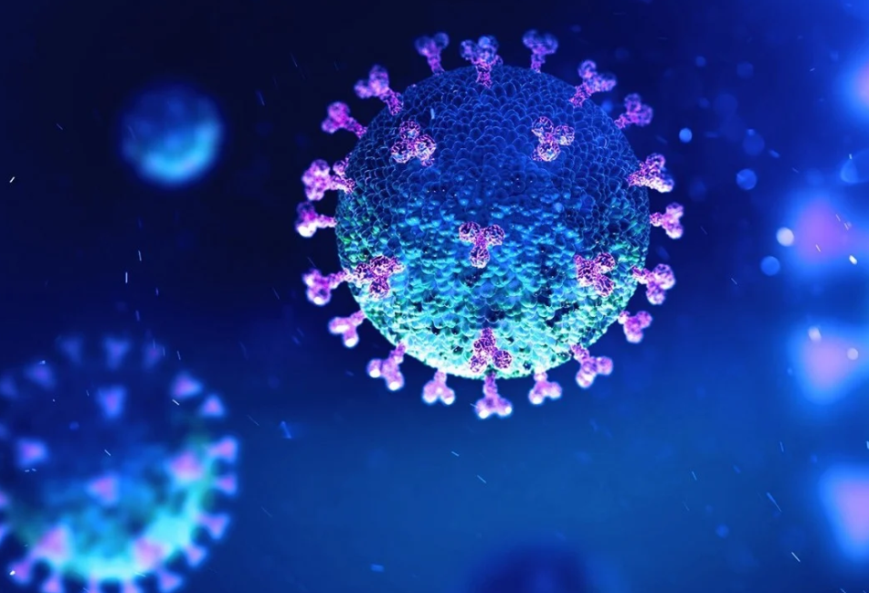 phat hien moi te bao mien dich o nguoi khoe manh co kha nang tim diet virus sars cov 2