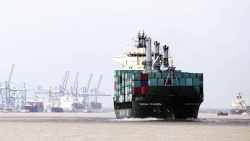 Kinh tế Việt Nam: Mở khóa cho các cực tăng trưởng