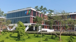 Doanh nghiệp Việt và khát vọng 'Go global'