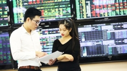 Chứng khoán tiếp tục là kênh đầu tư hấp dẫn, nhà đầu tư nội đua nhau mở tài khoản mới