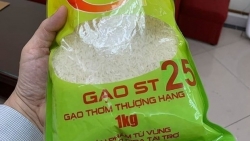 Doanh nghiệp liên kết 'chạy đua' giữ thương hiệu gạo ST25