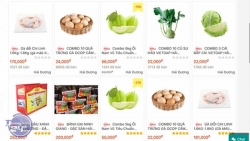 Thương mại điện tử hỗ trợ tiêu thụ nông sản thời Covid-19