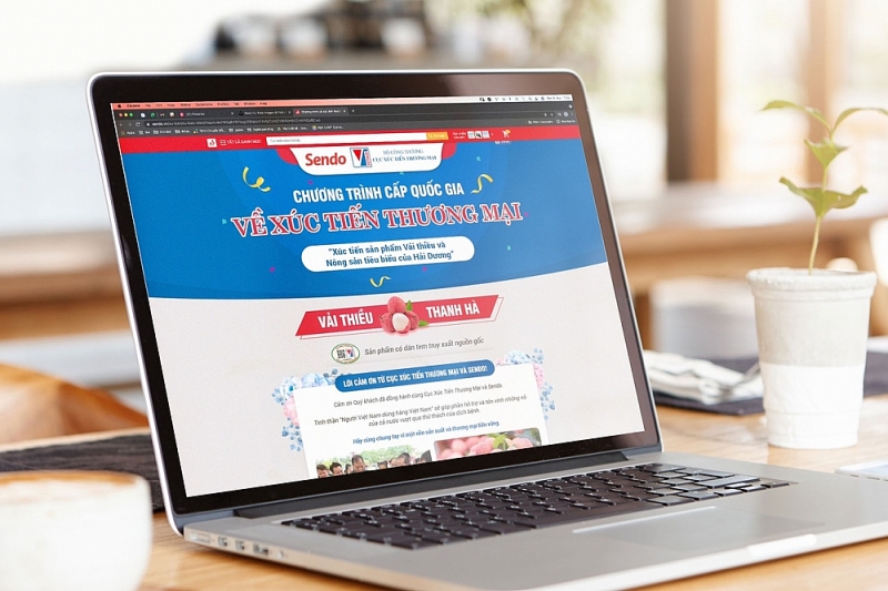 Thêm một sàn thương mại điện tử bán vải thiều Hải Dương Thêm một sàn thương mại điện tử bán vải thiều Hải Dương