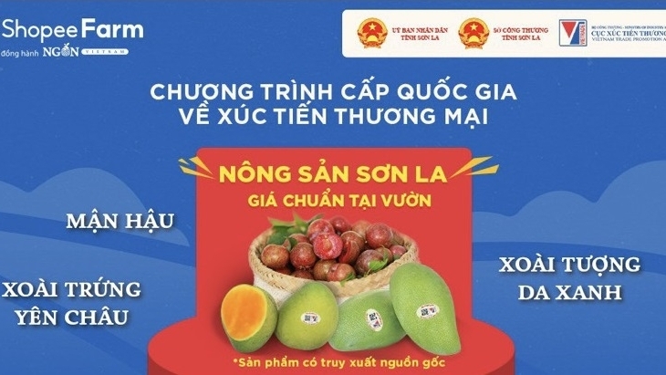 Sau vải thiều, đến lượt mận hậu và xoài Sơn La lên sàn thương mại điện tử