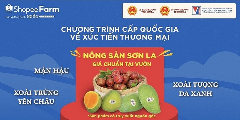Sau vải thiều, đến lượt mận hậu và xoài Sơn La lên sàn thương mại điện tử