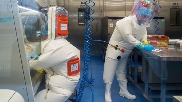 Chuyên gia Anh, Na Uy nói có bằng chứng Covid-19 từ phòng thí nghiệm Vũ Hán