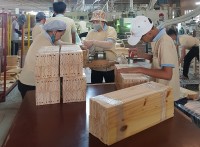 Xuất khẩu sẽ chào đón một kỷ lục mới