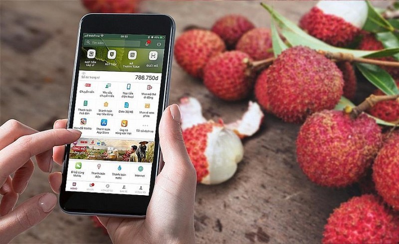 Xuất khẩu ngày 13-15/5: Chuyên gia 'mách chiêu' để nông sản Việt 'lấy lòng' thị trường Hoa Kỳ; tận dụng tối đa 'cao tốc' EVFTA