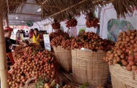 vai thieu luc ngan da co mat tai thi truong thai lan