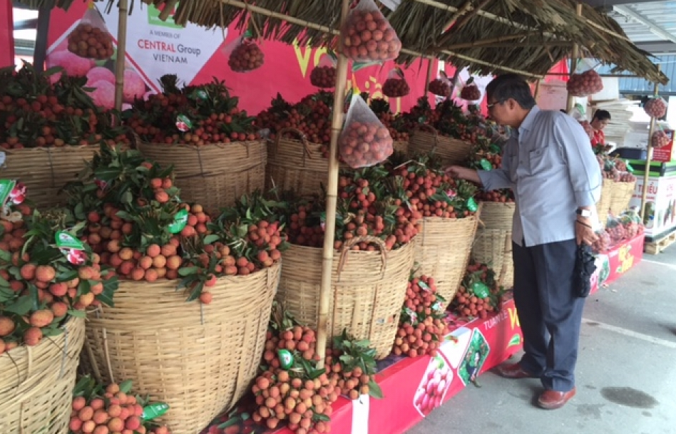 Khai mạc Tuần lễ vải thiều Lục Ngạn tại Hà Nội