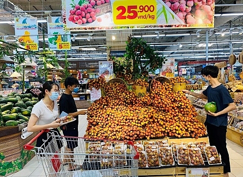 Vải thiều Bắc Giang lên kệ các hệ thống phân phối lớn Vải thiều Bắc Giang lên kệ các hệ thống phân phối lớn