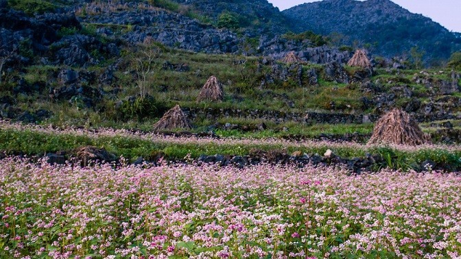 Cao Bằng, Bắc Kạn và Hà Giang sáng tạo mô hình mới liên kết quảng bá sản phẩm du lịch