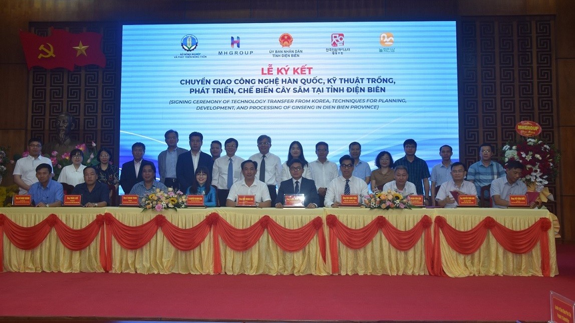 Kết nối chuyển giao công nghệ trồng sâm của Hàn Quốc cho tỉnh Điện Biên