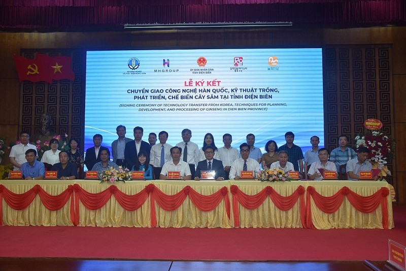 Kết nối chuyển giao công nghệ trồng sâm của Hàn Quốc cho tỉnh Điện Biên Kết nối chuyển giao công nghệ trồng sâm của Hàn Quốc cho tỉnh Điện Biên