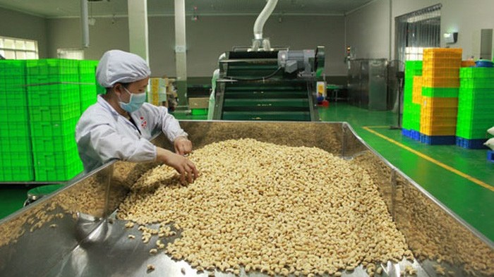 Một Hiệp hội 'kêu cứu' vì từ xuất siêu, Việt Nam bất ngờ đảo chiều chuyển sang nhập siêu loại hạt này