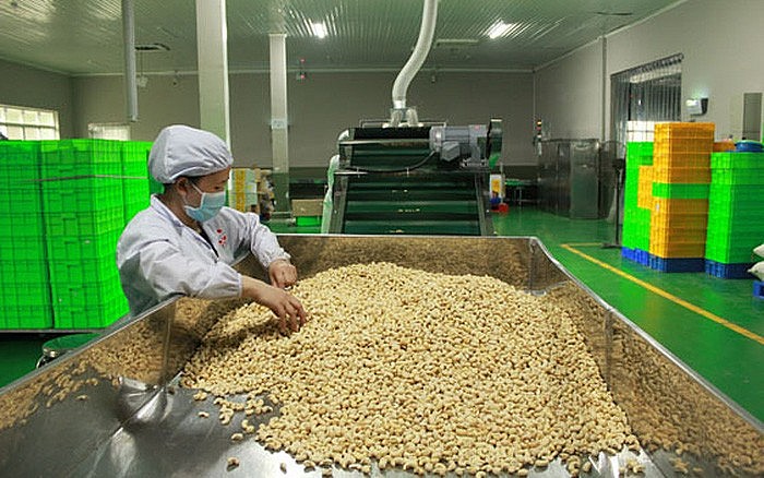 Xuất khẩu ngày 24-26/6: Hoa Kỳ 'giữ' ngôi vương về xuất khẩu thủy sản của Việt Nam; ngành điều hạ mục tiêu xuất khẩu Xuất khẩu ngày 24-26/6: Hoa Kỳ giữ 'ngôi vương' về nhập khẩu thủy sản từ Việt Nam; thách thức gia tăng, ngành điều hạ mục tiêu