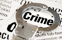 phim dung dai dot thuc tinh xa hoi ve nan buon dong vat hoang da