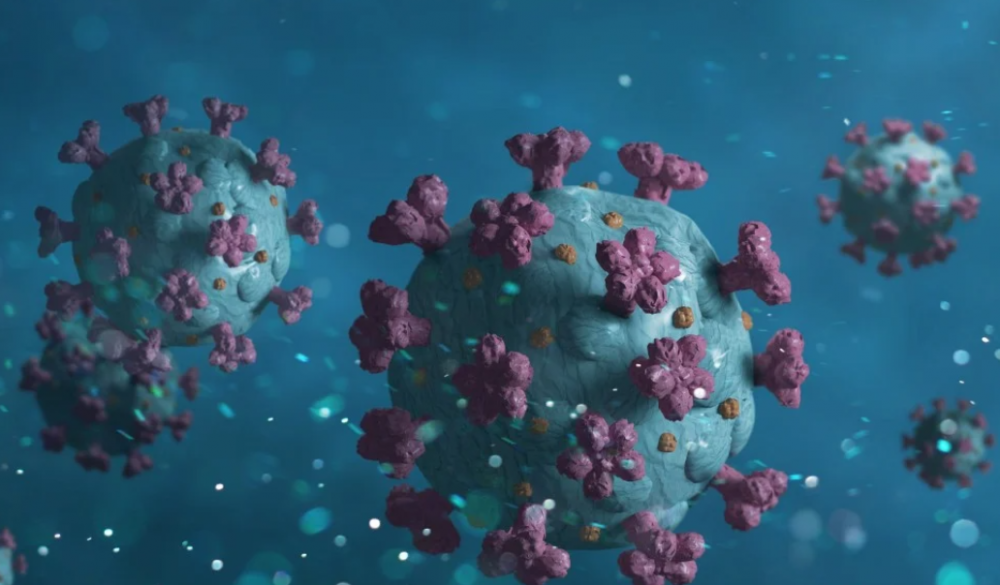 hon 200 nha khoa hoc cao buoc who lam ngo nguy co lay nhiem covid 19 qua duong bui khi